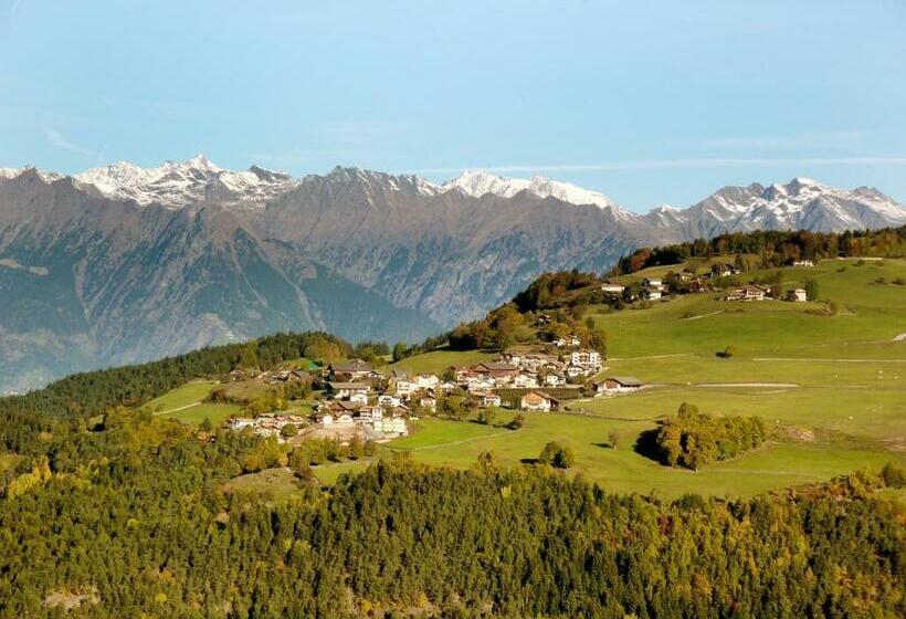 酒店 Pension Schlaneiderhof