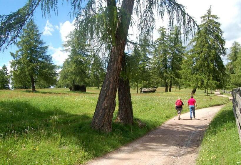 酒店 Pension Schlaneiderhof