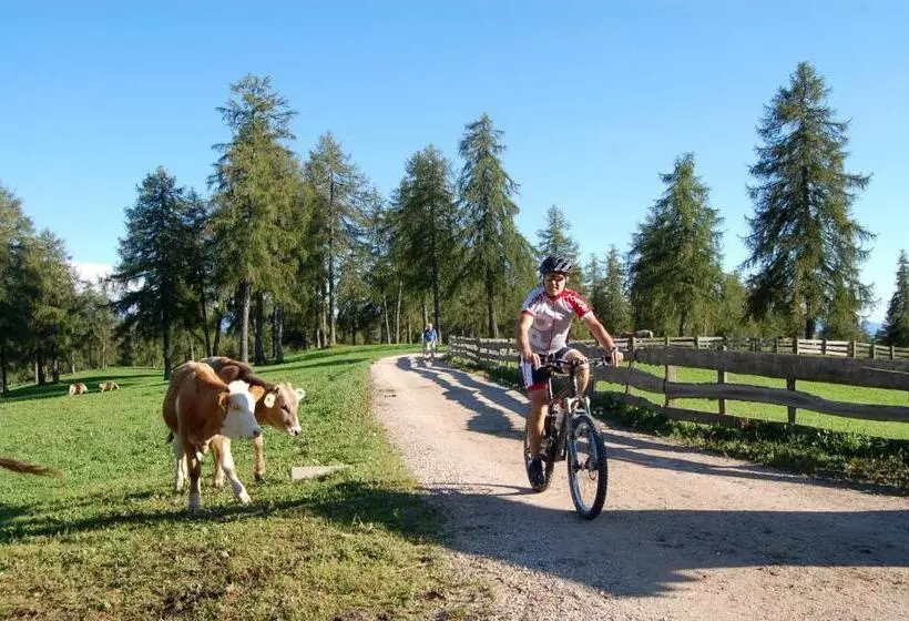 Hotelli Pension Schlaneiderhof