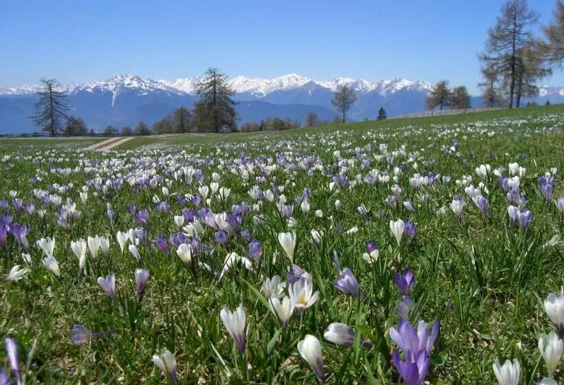 Hotelli Pension Schlaneiderhof