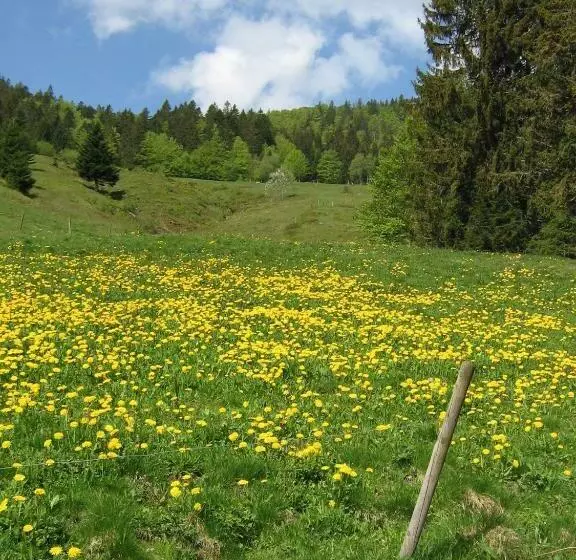 Majatalo Berggasthaus Präger Böden