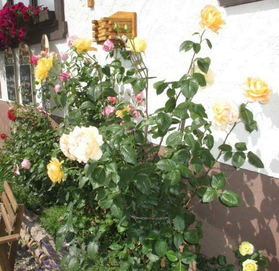 Pensão Berggasthaus Präger Böden