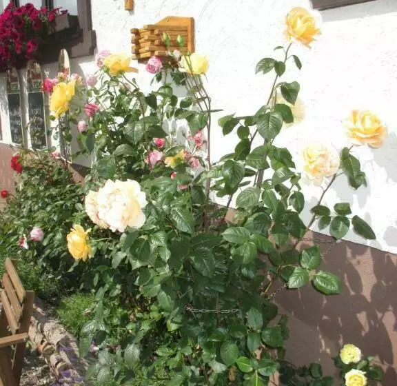 Majatalo Berggasthaus Präger Böden