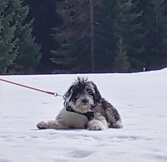 ペンション Haus Farmer