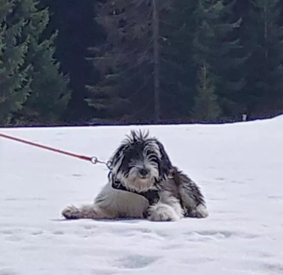 ペンション Haus Farmer