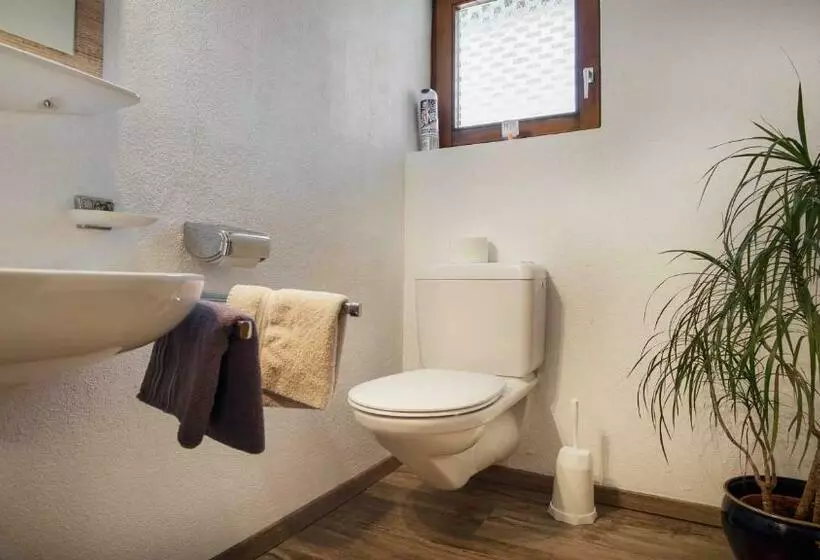 Pension Riese