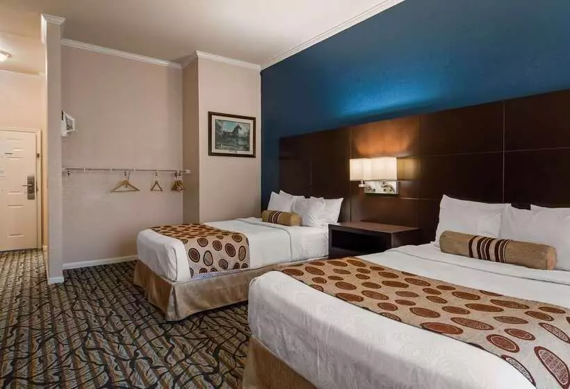 酒店 Best Western Spring Hill Inn & Suites