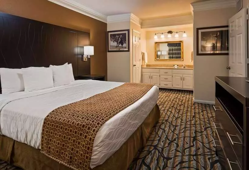 酒店 Best Western Spring Hill Inn & Suites