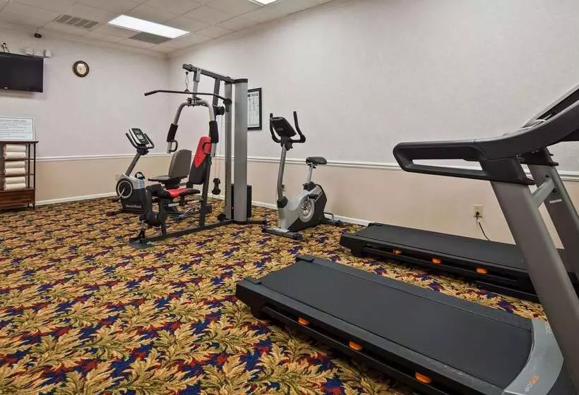 酒店 Best Western Spring Hill Inn & Suites