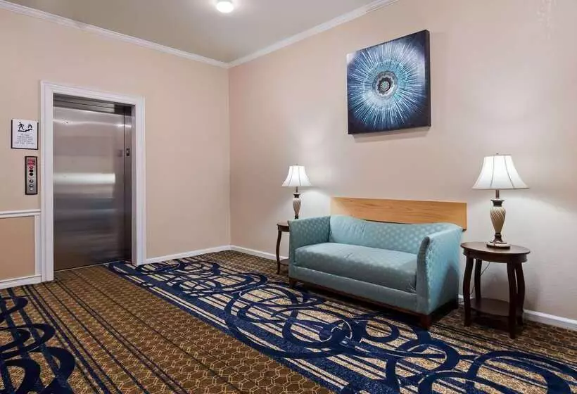 酒店 Best Western Spring Hill Inn & Suites