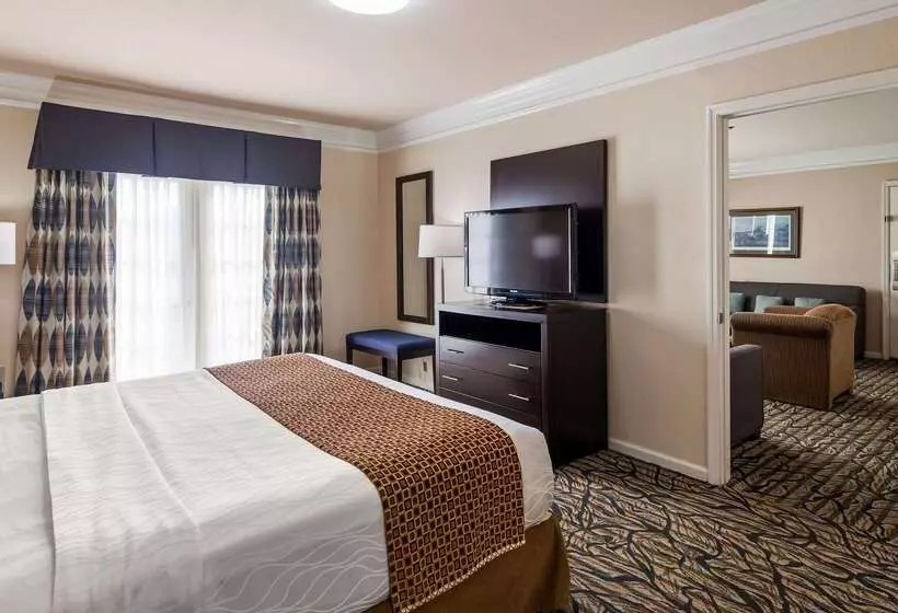 酒店 Best Western Spring Hill Inn & Suites