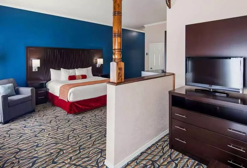 酒店 Best Western Spring Hill Inn & Suites