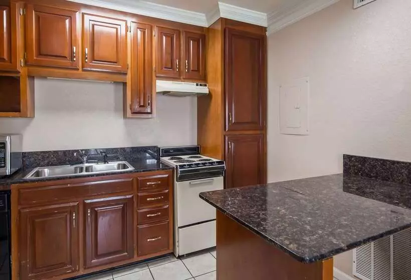 酒店 Best Western Spring Hill Inn & Suites