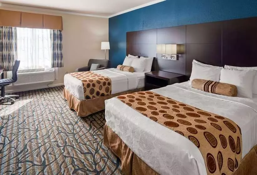 酒店 Best Western Spring Hill Inn & Suites