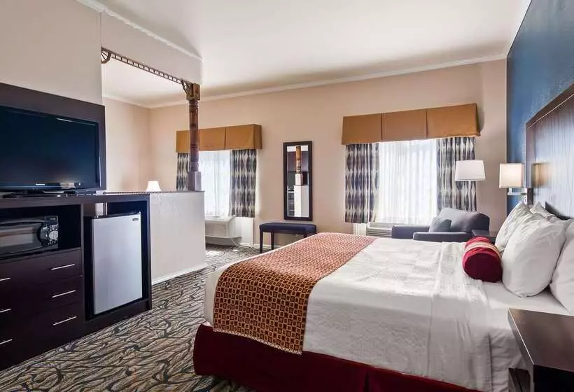 酒店 Best Western Spring Hill Inn & Suites