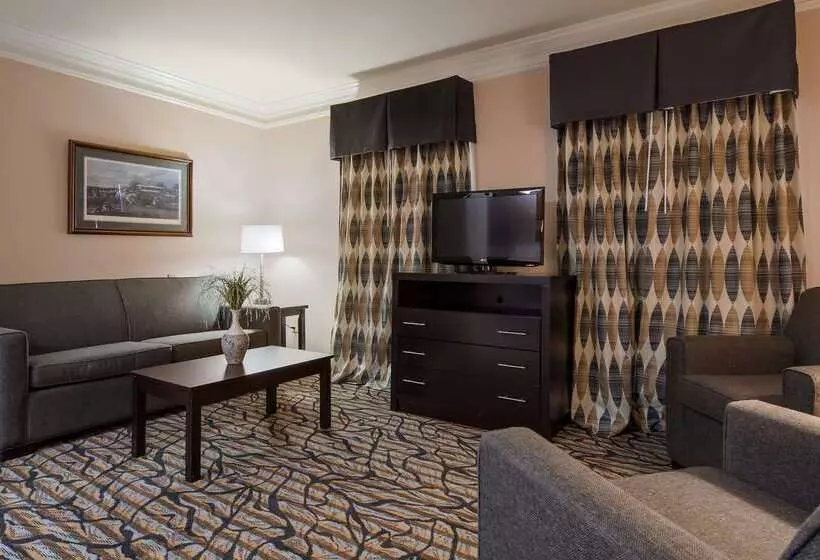 酒店 Best Western Spring Hill Inn & Suites