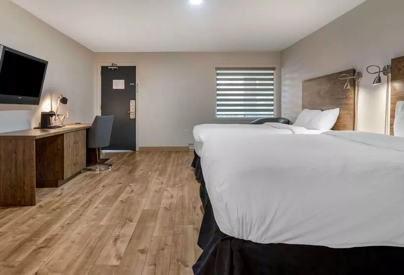 Danny’s Hotel Suites, Surestay Collection By Best Western