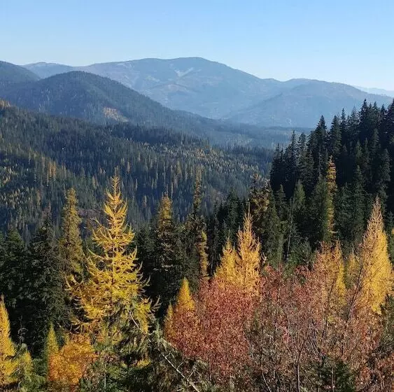 ホテル Fairbridge Inn & Suites Kellogg