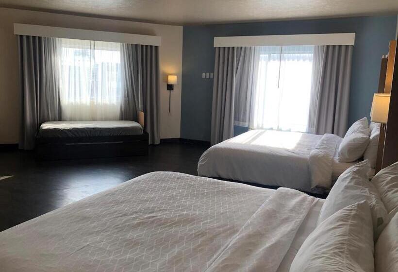 فندق Holiday Inn Omaha Downtown   Waterpark, An Ihg