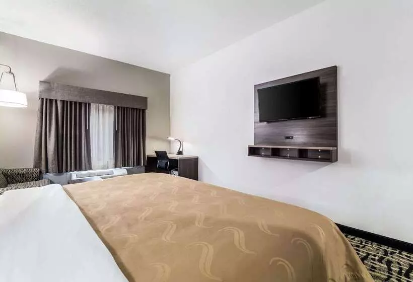 Hotel Quality Inn & Suites Augusta I 20