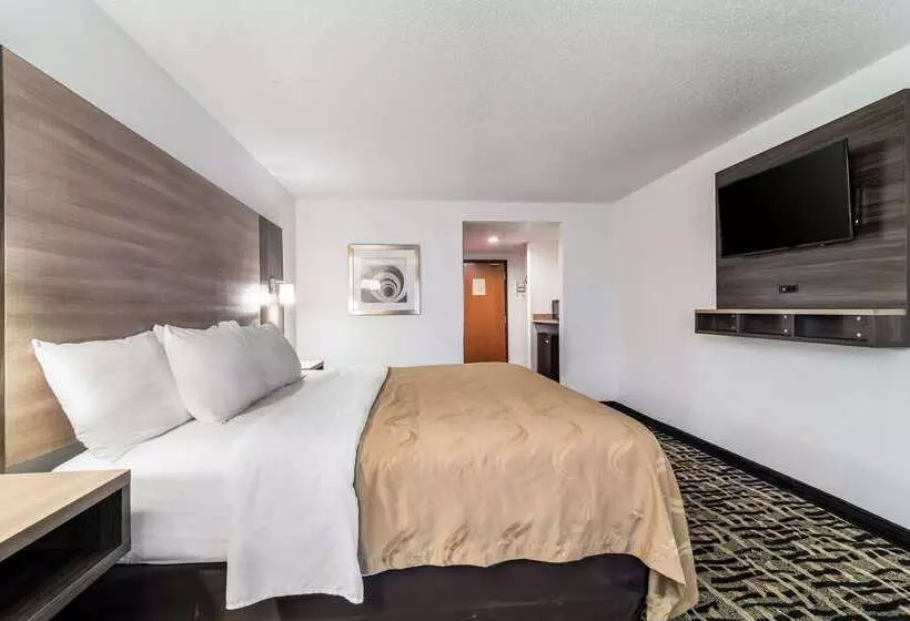 Hotel Quality Inn & Suites Augusta I 20