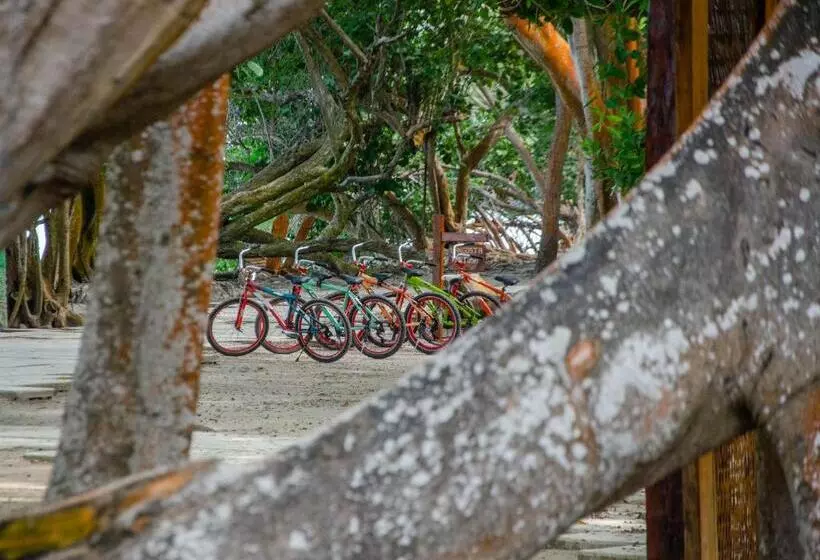 酒店 San Pedro De Majagua