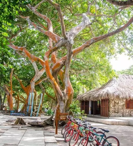 酒店 San Pedro De Majagua