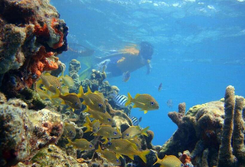 בית מלון כפרי San Pedro De Majagua