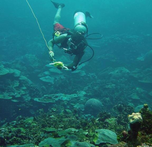 בית מלון כפרי San Pedro De Majagua