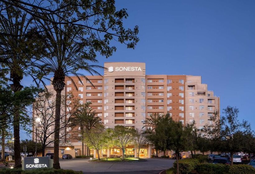 酒店 Sonesta Emeryville  San Francisco Bay Bridge