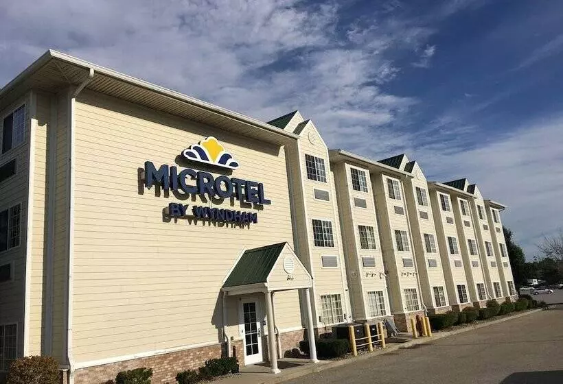 Microtel Inn & Suites By Wyndham Indianapolis Airport