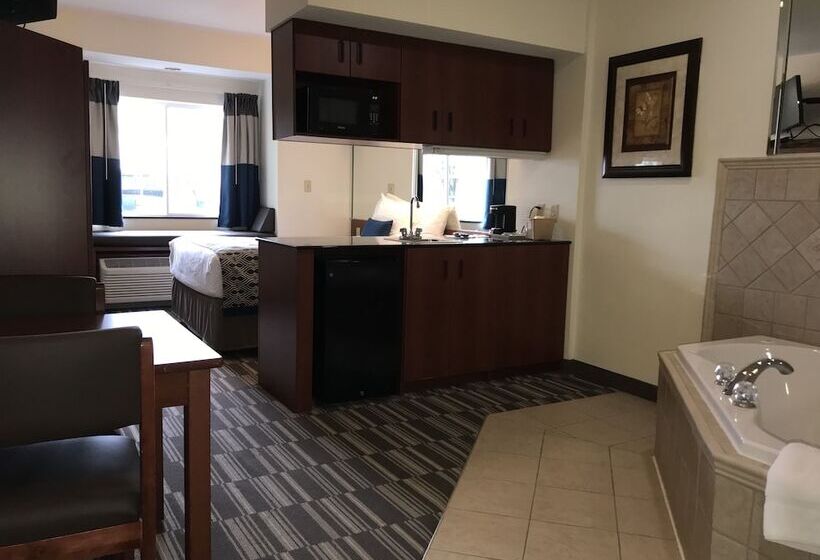 Microtel Inn & Suites By Wyndham Indianapolis Airport