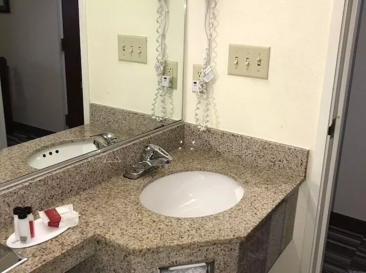 Microtel Inn & Suites By Wyndham Indianapolis Airport