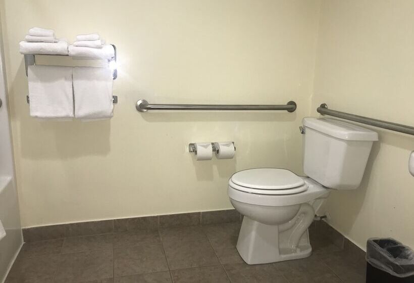 Microtel Inn & Suites By Wyndham Indianapolis Airport