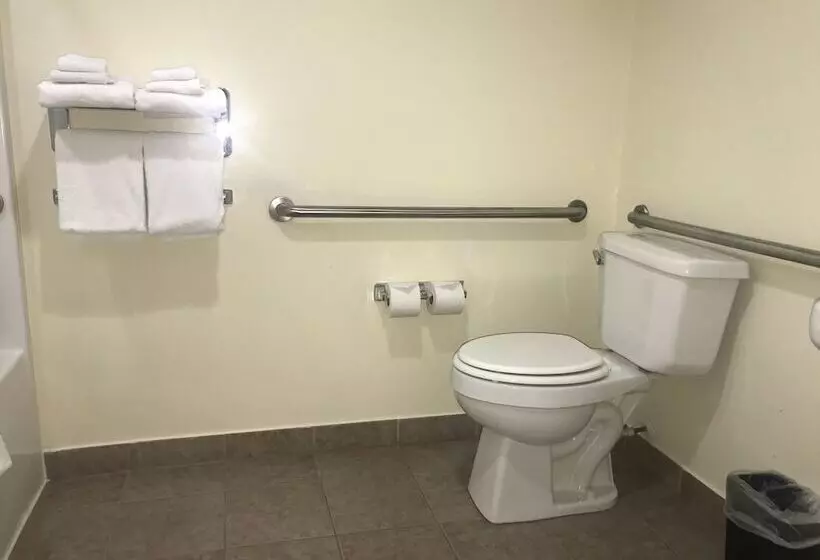 Microtel Inn & Suites By Wyndham Indianapolis Airport