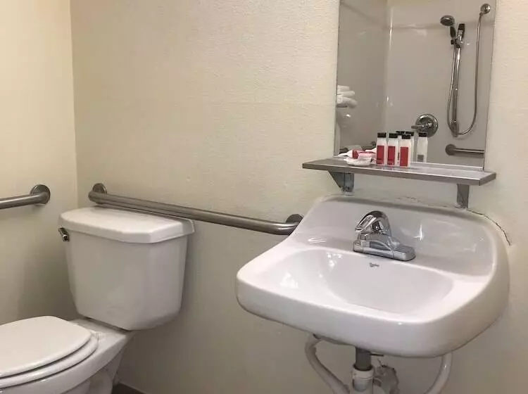 Microtel Inn & Suites By Wyndham Indianapolis Airport