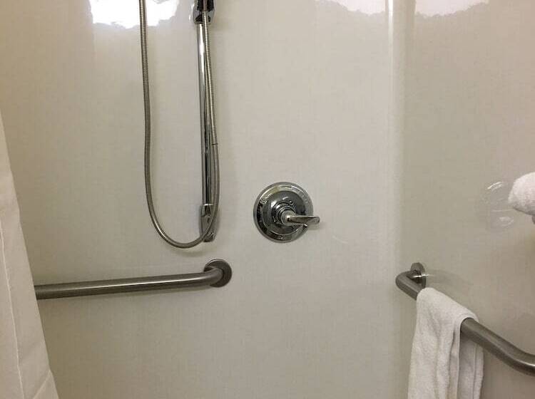 Microtel Inn & Suites By Wyndham Indianapolis Airport