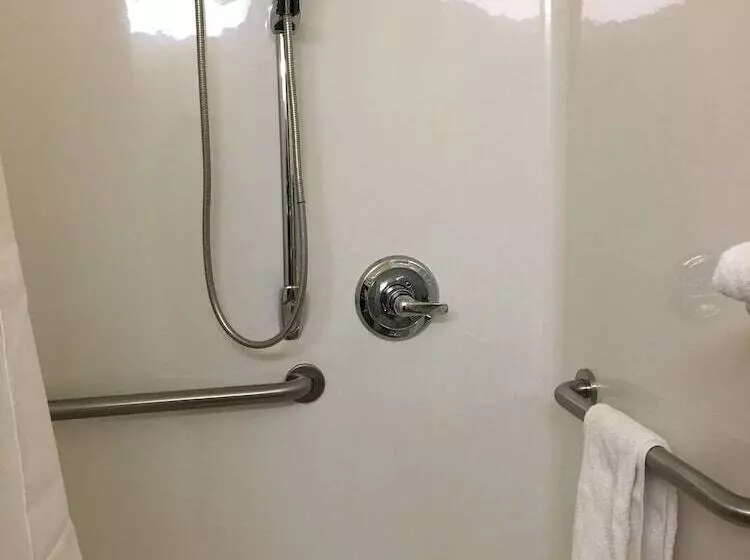 Microtel Inn & Suites By Wyndham Indianapolis Airport