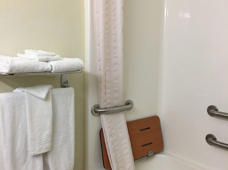 Microtel Inn & Suites By Wyndham Indianapolis Airport