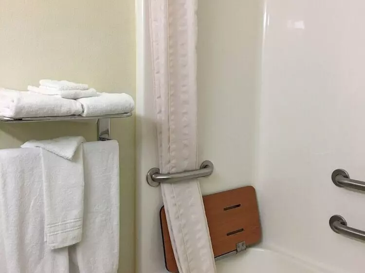 Microtel Inn & Suites By Wyndham Indianapolis Airport