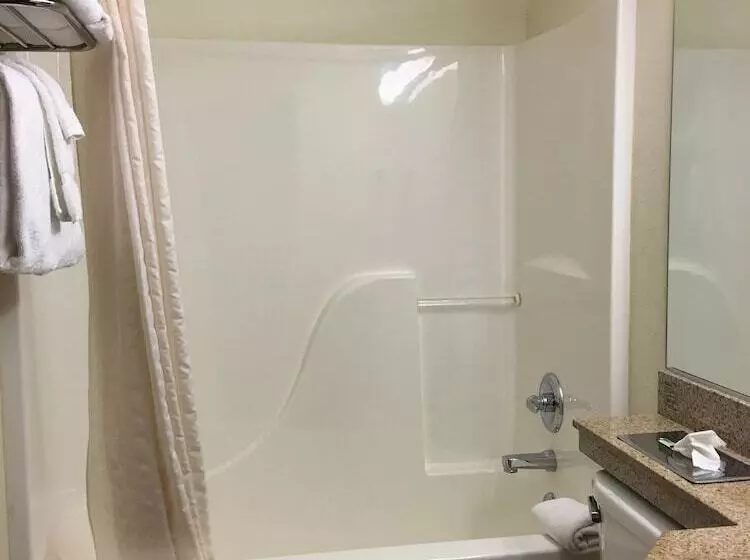 Microtel Inn & Suites By Wyndham Indianapolis Airport