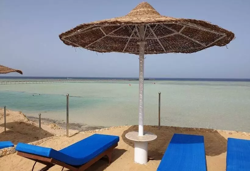Resort Blue Reef Marsa Alam   All Inclusive