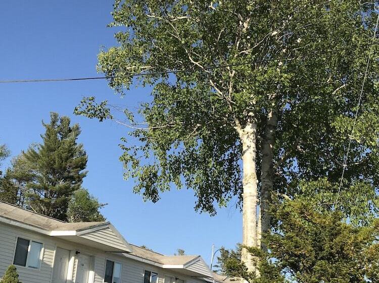 White Birches Motel