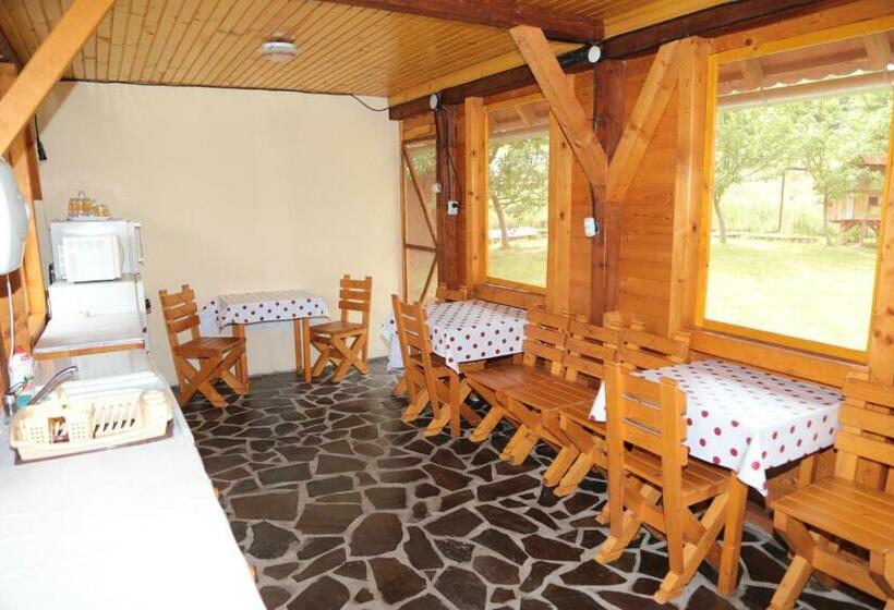 Pension (Hôtel basse catégorie) Casa Lacul Mierlei