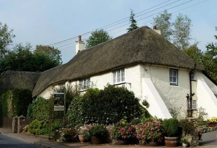 Отель Rose Farm