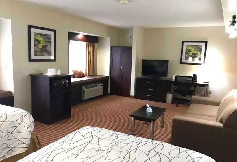 ホテル Best Western Patriots Point