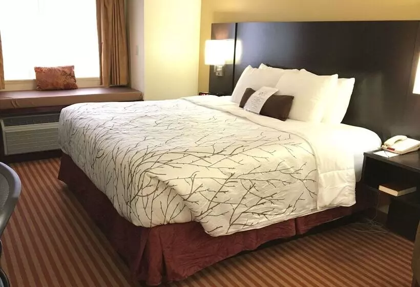 ホテル Best Western Patriots Point