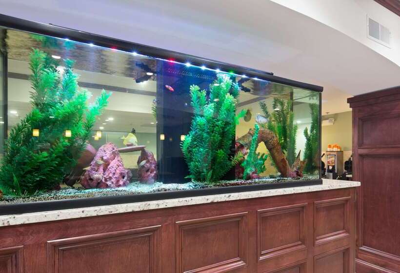 فندق Best Western Patriots Point