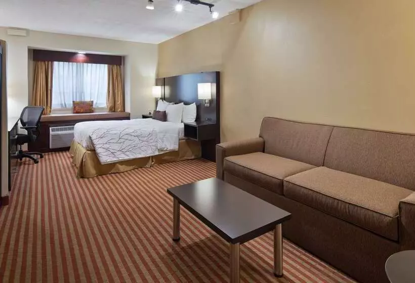 ホテル Best Western Patriots Point