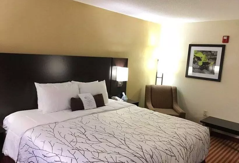 ホテル Best Western Patriots Point